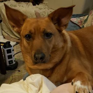 Meet your Posher, Julie